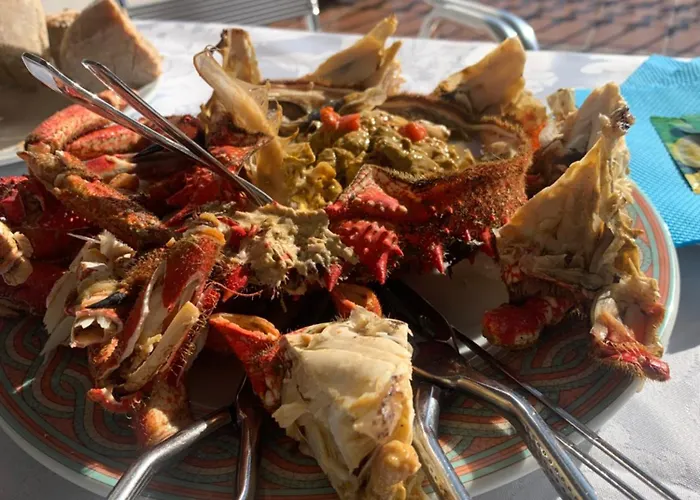 Noelmar Ii * コンバーロ